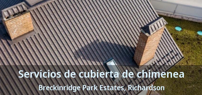 Servicios de cubierta de chimenea Breckinridge Park Estates, Richardson - TX Servicios de cubierta de chimenea Breckinridge Park Estates, Richardson - TX