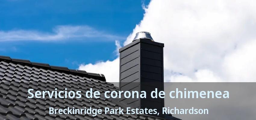 Servicios de corona de chimenea Breckinridge Park Estates, Richardson - TX