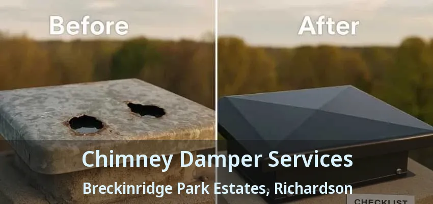 Chimney Damper Services Breckinridge Park Estates, Richardson - TX