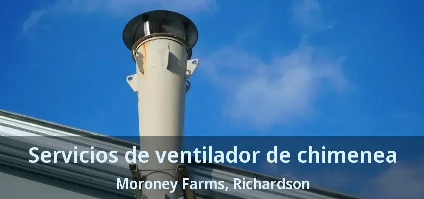 Servicios de ventilador de chimenea Moroney Farms, Richardson - TX