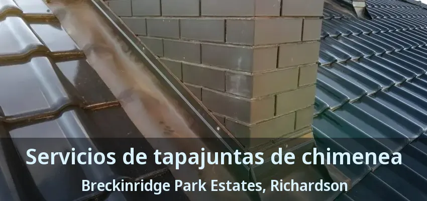 Servicios de tapajuntas de chimenea Breckinridge Park Estates, Richardson - TX Servicios de tapajuntas de chimenea Breckinridge Park Estates, Richardson - TX