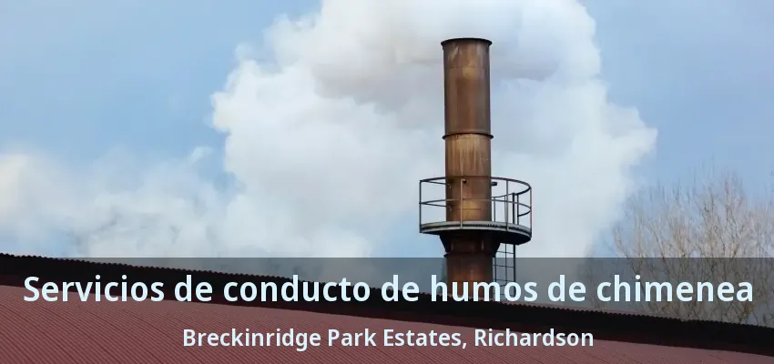 Servicios de conducto de humos de chimenea Breckinridge Park Estates, Richardson - TX Servicios de conducto de humos de chimenea Breckinridge Park Estates, Richardson - TX