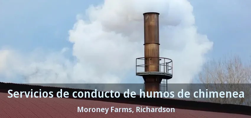 Servicios de conducto de humos de chimenea Moroney Farms, Richardson - TX Servicios de conducto de humos de chimenea Moroney Farms, Richardson - TX