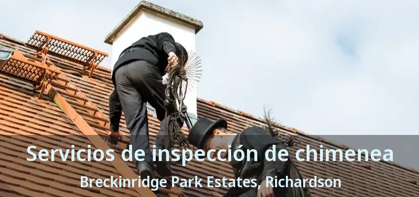 Servicios de inspección de chimenea Breckinridge Park Estates, Richardson - TX
