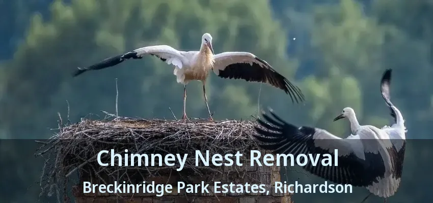 Chimney Nest Removal Breckinridge Park Estates, Richardson - TX Chimney Nest Removal Breckinridge Park Estates, Richardson - TX