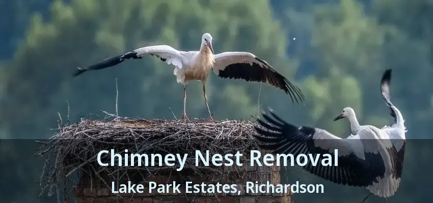 Chimney Nest Removal Lake Park Estates, Richardson - TX Chimney Nest Removal Lake Park Estates, Richardson - TX