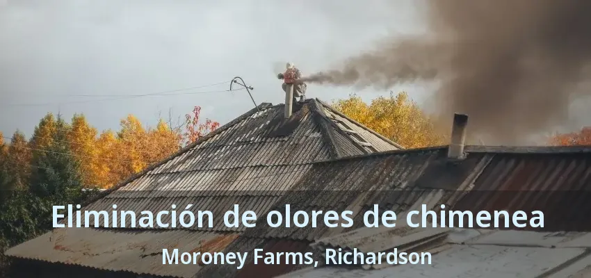 Eliminación de olores de chimenea Moroney Farms, Richardson - TX Eliminación de olores de chimenea Moroney Farms, Richardson - TX