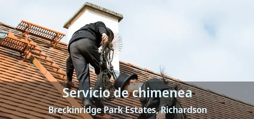 Servicio de chimenea Breckinridge Park Estates, Richardson - TX Servicio de chimenea Breckinridge Park Estates, Richardson - TX