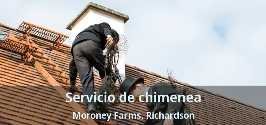 Servicio de chimenea Moroney Farms, Richardson - TX Servicio de chimenea Moroney Farms, Richardson - TX