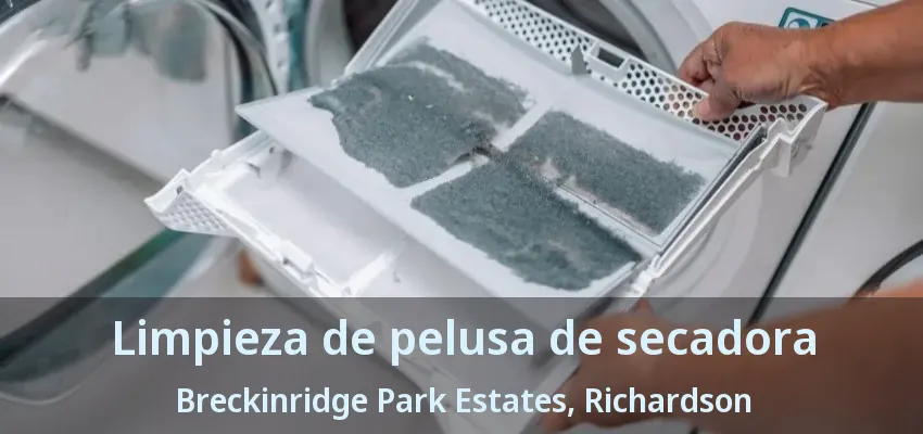 Limpieza de pelusa de secadora Breckinridge Park Estates, Richardson - TX Limpieza de pelusa de secadora Breckinridge Park Estates, Richardson - TX