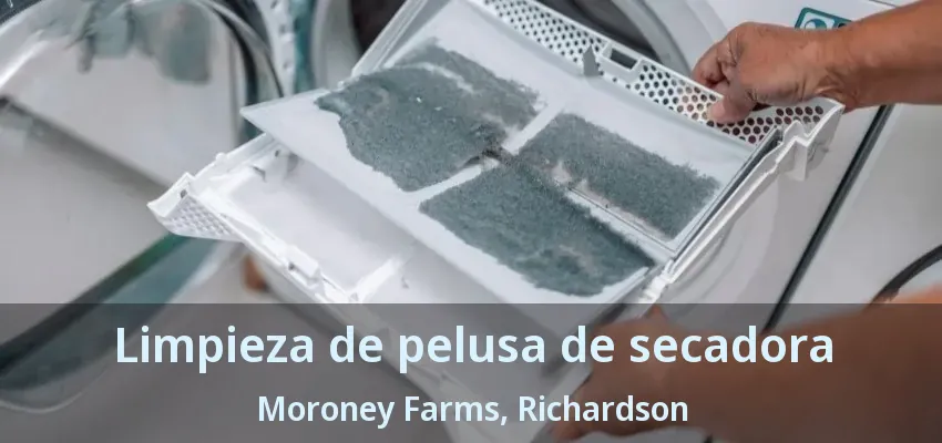 Limpieza de pelusa de secadora Moroney Farms, Richardson - TX Limpieza de pelusa de secadora Moroney Farms, Richardson - TX