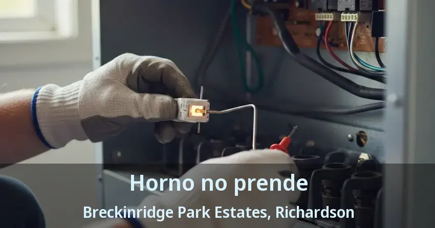 Horno no prende Breckinridge Park Estates, Richardson - TX Horno no prende Breckinridge Park Estates, Richardson - TX