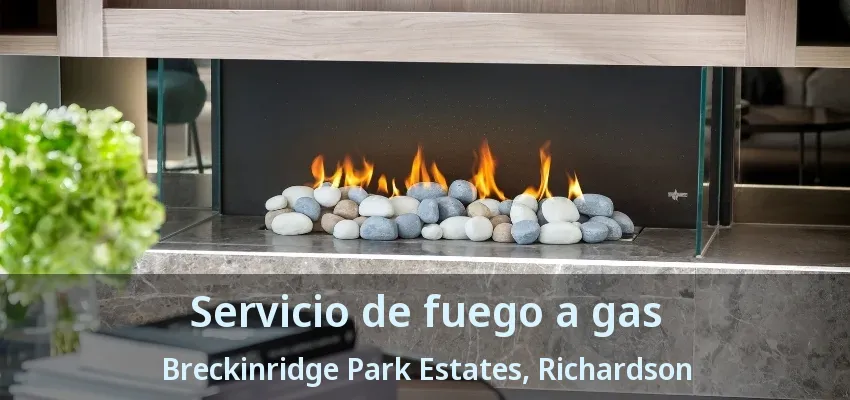Servicio de fuego a gas Breckinridge Park Estates, Richardson - TX Servicio de fuego a gas Breckinridge Park Estates, Richardson - TX