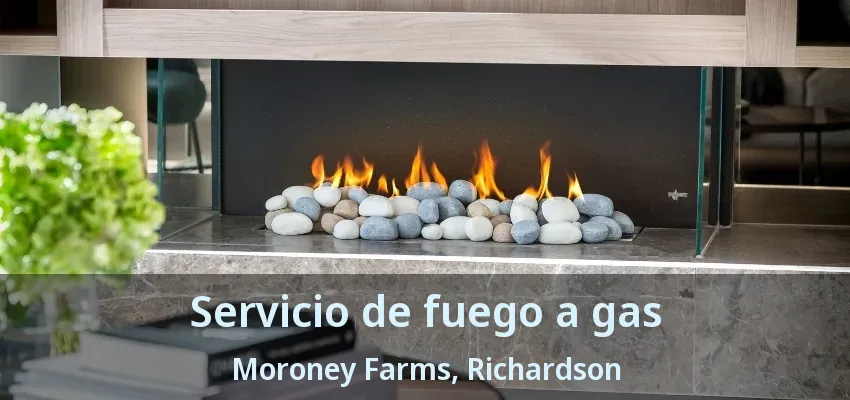 Servicio de fuego a gas Moroney Farms, Richardson - TX
