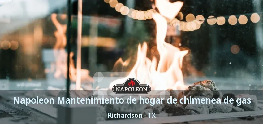 Napoleon Mantenimiento de hogar de chimenea de gas Richardson - TX Napoleon Mantenimiento de hogar de chimenea de gas Richardson - TX