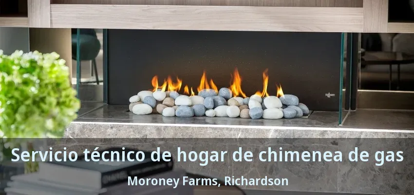 Servicio técnico de hogar de chimenea de gas Moroney Farms, Richardson - TX Servicio técnico de hogar de chimenea de gas Moroney Farms, Richardson - TX
