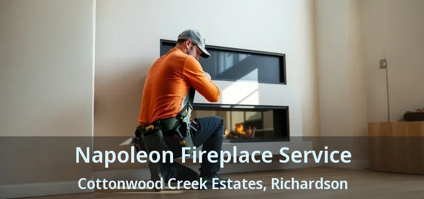 Napoleon Fireplace Service Cottonwood Creek Estates, Richardson - TX