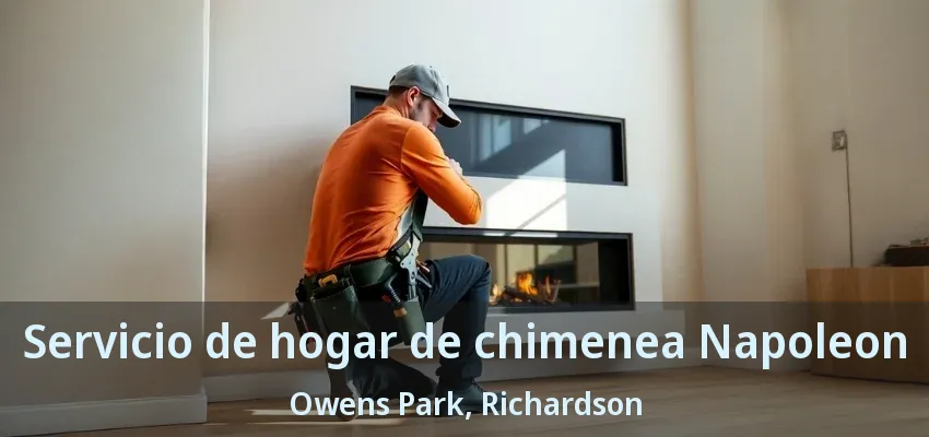 Servicio de hogar de chimenea Napoleon Owens Park, Richardson - TX