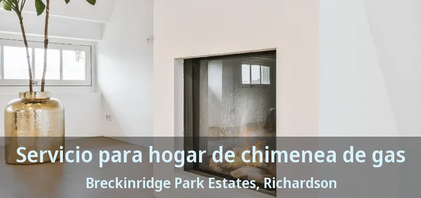 Servicio para hogar de chimenea de gas Breckinridge Park Estates, Richardson - TX Servicio para hogar de chimenea de gas Breckinridge Park Estates, Richardson - TX