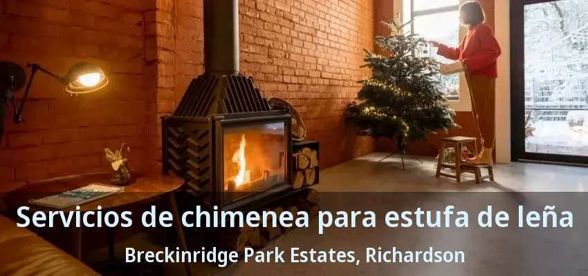 Servicios de chimenea para estufa de leña Breckinridge Park Estates, Richardson - TX Servicios de chimenea para estufa de leña Breckinridge Park Estates, Richardson - TX